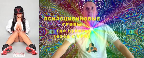 стаф Алексеевка