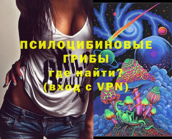 спайс Алзамай