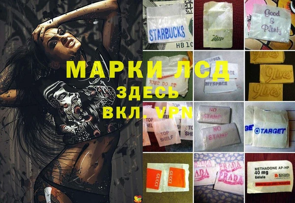 спайс Алзамай