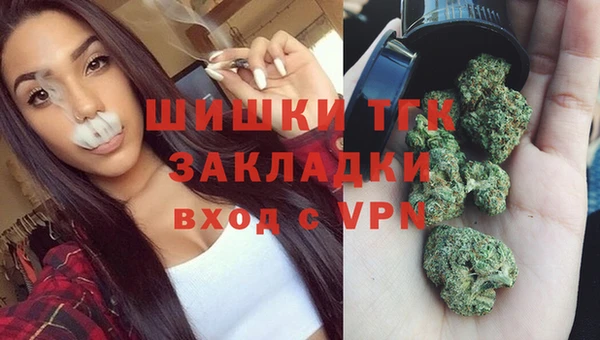 стаф Алексеевка