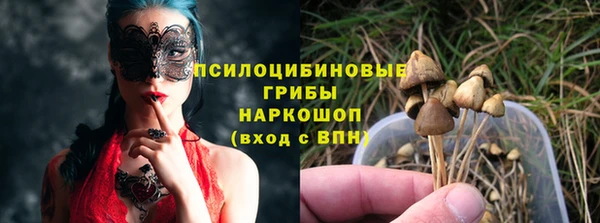стаф Алексеевка