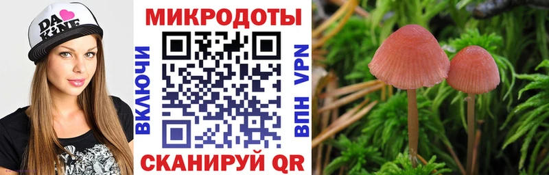 Галлюциногенные грибы прущие грибы  Гаджиево 
